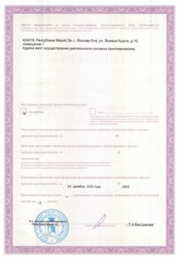 Фото лицензии клиники "Медицинский центр Айболит на Кырли" - 4